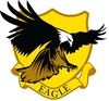 Eagle transaparent logo