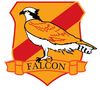 Falcon transparent logo